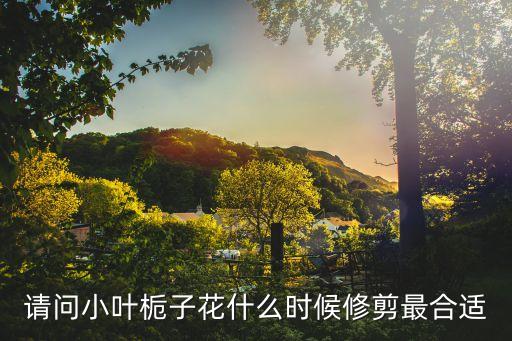 请问小叶栀子花什么时候修剪最合适