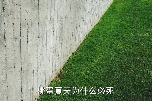 桃蛋夏天为什么必死