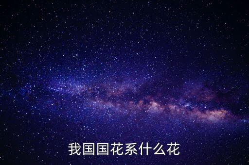 花系，请问插花有哪几系分颜色哦
