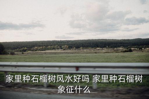 家里种石榴树风水好吗 家里种石榴树象征什么