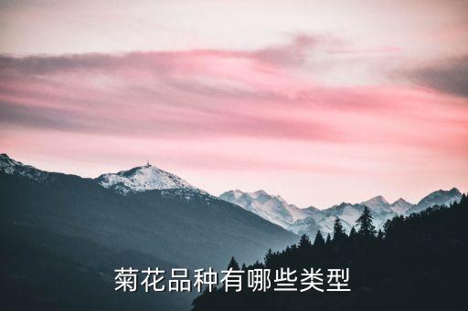 菊花品种有哪些类型