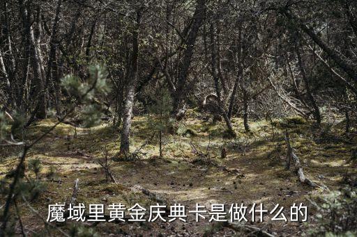 魔域里黄金庆典卡是做什么的