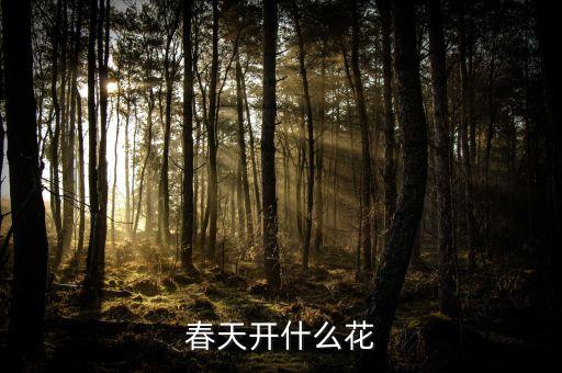 春天开什么花