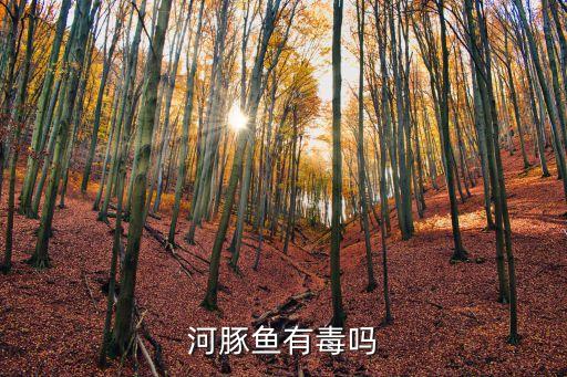 河豚鱼有毒吗