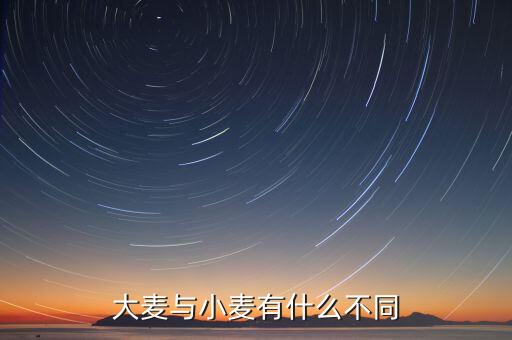 大麦与小麦有什么不同