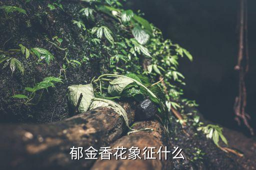郁金香花语是什么，郁金香花象征什么