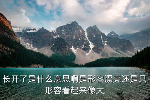长开了是什么意思啊是形容漂亮还是只形容看起来像大