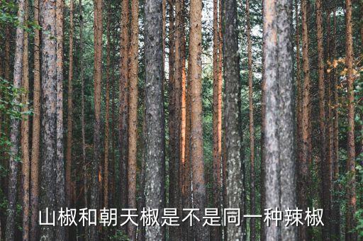山椒和朝天椒是不是同一种辣椒
