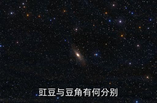 豇豆与豆角有何分别