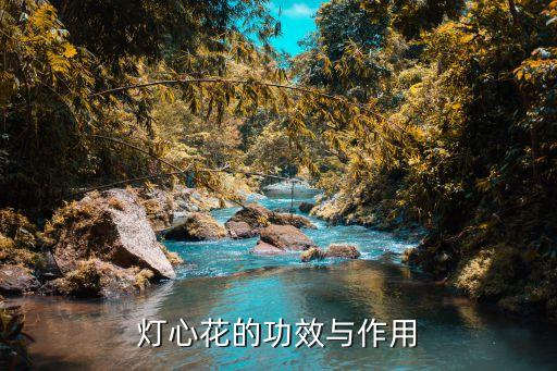 灯芯的功效与作用，白灯芯的功效
