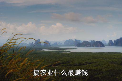 搞农业什么最赚钱