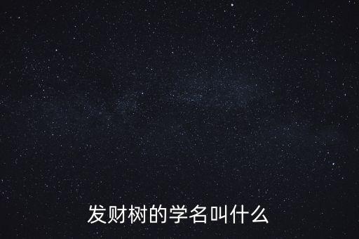 发财树的学名叫什么