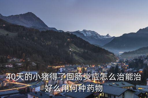 猪回肠炎，猪回肠炎有什么好的预防和治疗方法吗