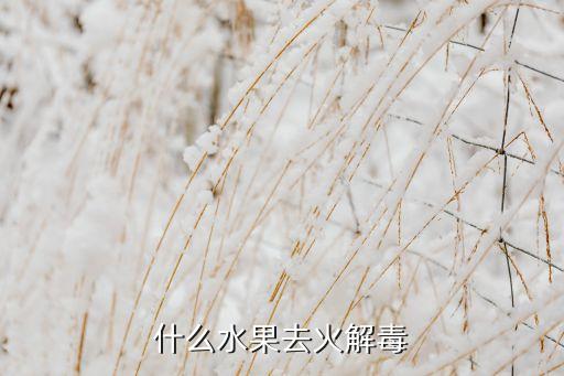 什么水果去火解毒