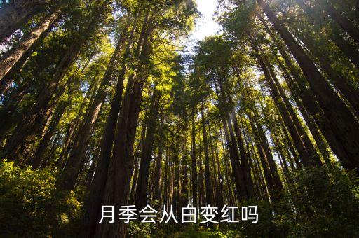 绿冰月季，谁能给我个买 月季小伊甸园和绿冰的连接行不