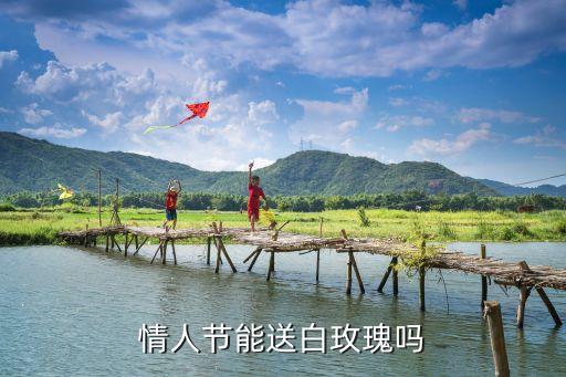 白玫瑰不能随便送人，白玫瑰为什么不能送给已婚