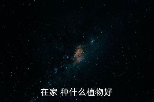 在家 种什么植物好