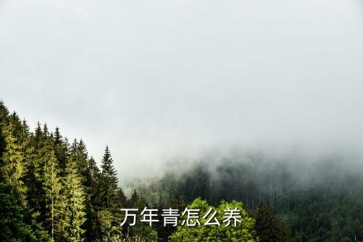 万年青怎么养