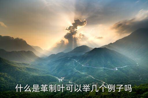 革质叶片，什么是革制叶可以举几个例子吗