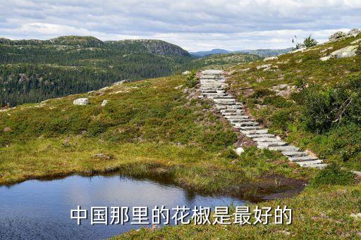 中国那里的花椒是最好的