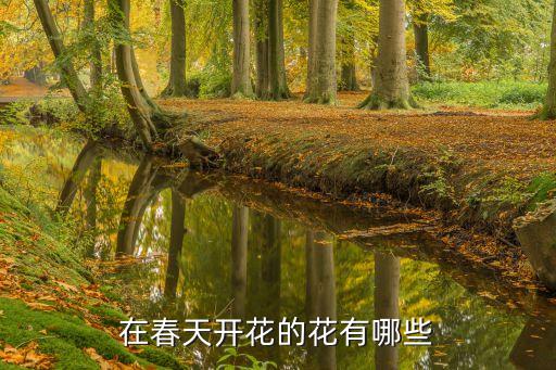在春天开花的花有哪些