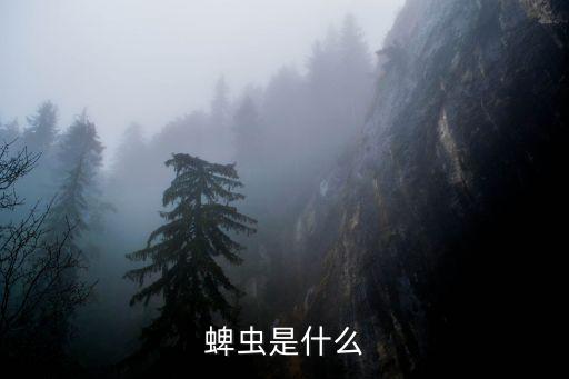 蜱虫是什么