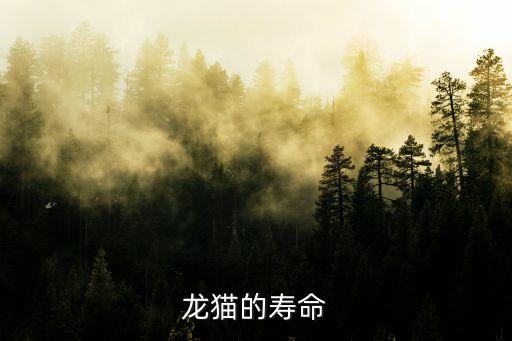 龙猫的寿命