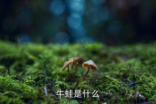 牛蛙是什么