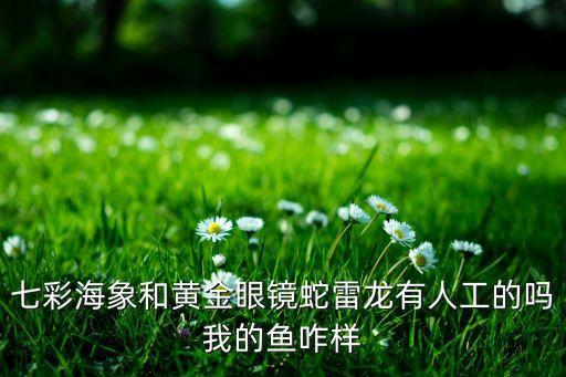 七彩海象和黄金眼镜蛇雷龙有人工的吗我的鱼咋样