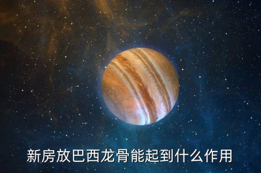 巴西龙骨，新房放巴西龙骨能起到什么作用