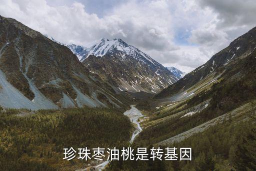 珍珠枣，珍珠枣宝宝可以吃吗