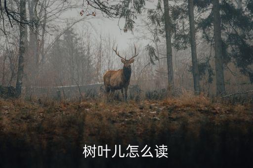 shuye，树叶儿怎么读