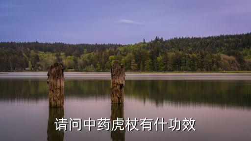 请问中药虎杖有什功效