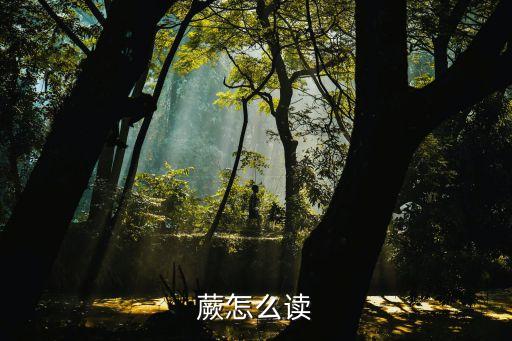 蕨怎么读