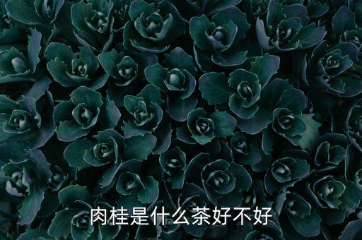 肉桂属于什么茶，唐茶空间肉桂 属于什么茶