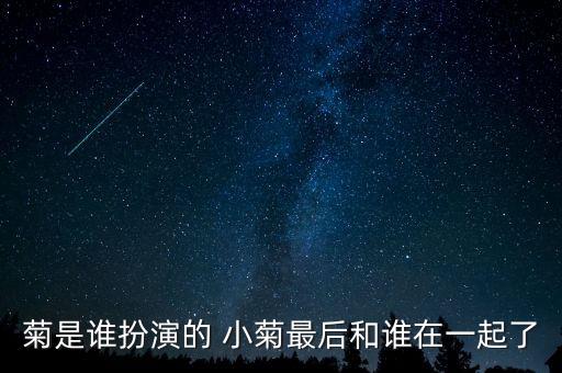 小菊，菊是谁扮演的 小菊最后和谁在一起了