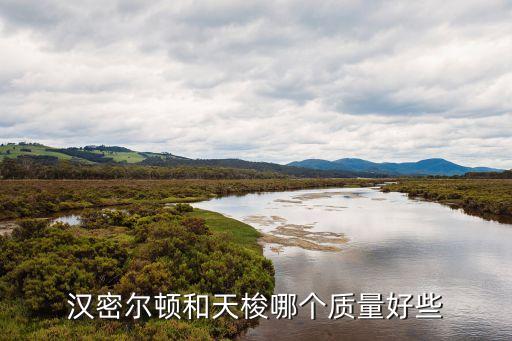 汉密尔顿月季，杰夫汉密尔顿是藤本还是灌木花期一季还是三季