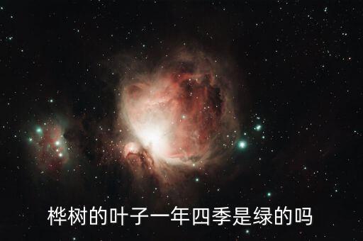 桦树的叶子一年四季是绿的吗