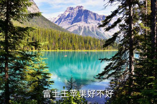 王苹果，请问果友们中秋王苹果表现如何粗皮病严重不