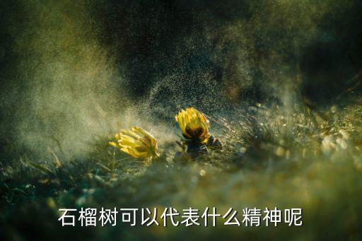 石榴树可以代表什么精神呢