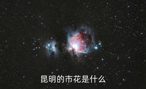 昆明市市花，昆明市的城花是什么