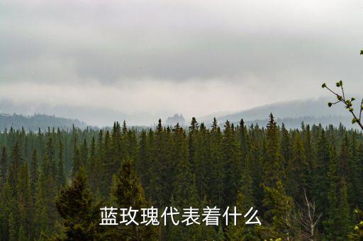 蓝玫瑰代表着什么