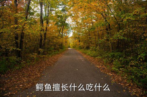 鳄鱼吃什么，鳄鱼擅长什么吃什么