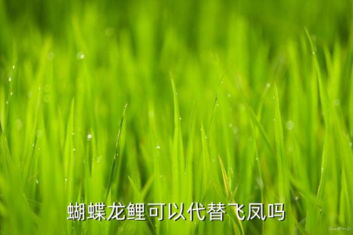 蝴蝶鲤好养吗，养七条白色蝴蝶锦鲤