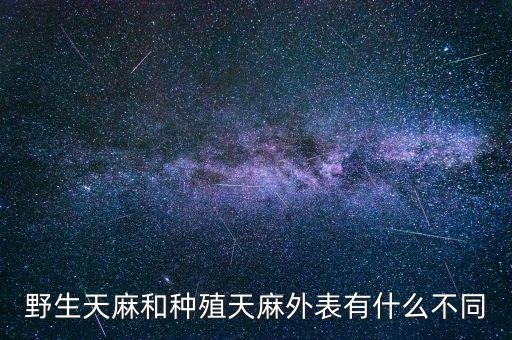 天麻苗长什么样，天麻禾苗是什么样
