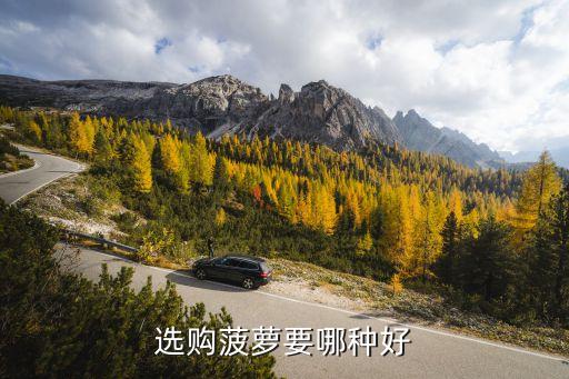 选购菠萝要哪种好
