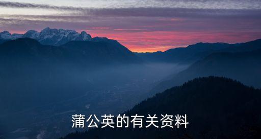 蒲公英的有关资料