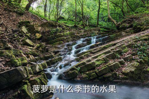 菠萝是什么季节的水果，菠萝是哪个季节的水果