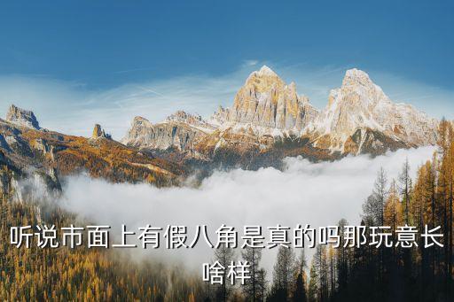 八角图片，八角茴香是大料吗