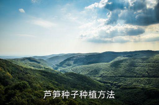 芦笋种子种植方法